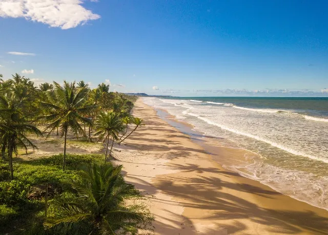 Brach with tree palms in Bahia in Brazil - Magnific