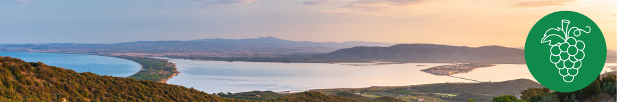 Ortobello in Tuscany - Freepik - Canva
