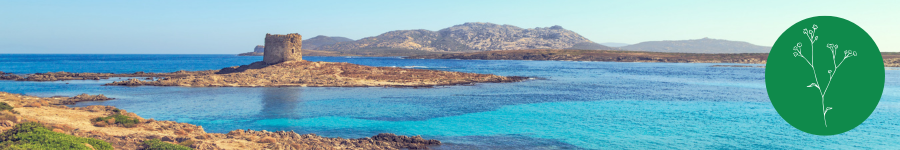 Pelosa Beach in Sardinia - Freepik - Canva