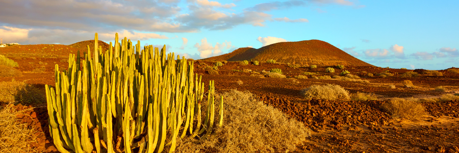 2 Tenerife - Canary Islands - Spain - Freepik