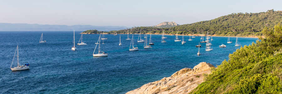 6 Porquerolles - Iles d'Hyères - France - Freepik 6 Porquerolles - Iles d'Hyères - France - Freepik