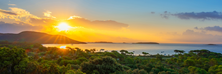 6 Corse - Palombaggia - France - Freepik 6 Corse - Palombaggia - France - Freepik