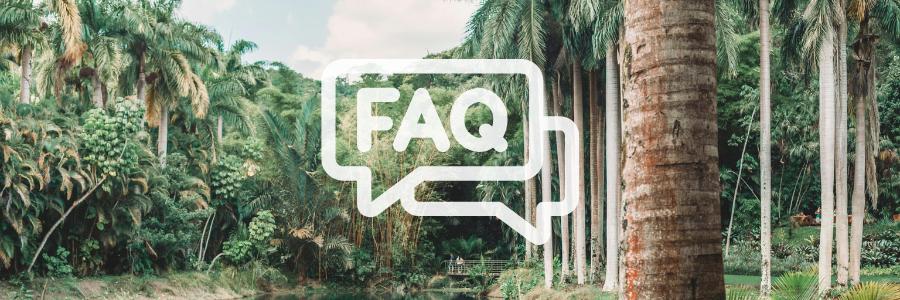 6 FAQ - Tropical Landscape in Brumadinho, Brazil - Canva Pro