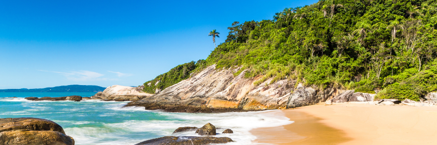 6 - Estaleirino beach in Balneario Camboriu - Santa Catarina - Brazil - Canva Pro MaRabelo de Getty Images Pro 6 - Estaleirino beach in Balneario Camboriu - Santa Catarina - Brazil - Canva Pro MaRabelo de Getty Images Pro