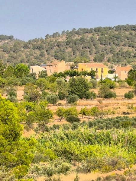 1 - vente maison pinoso communauté valencienne espagne