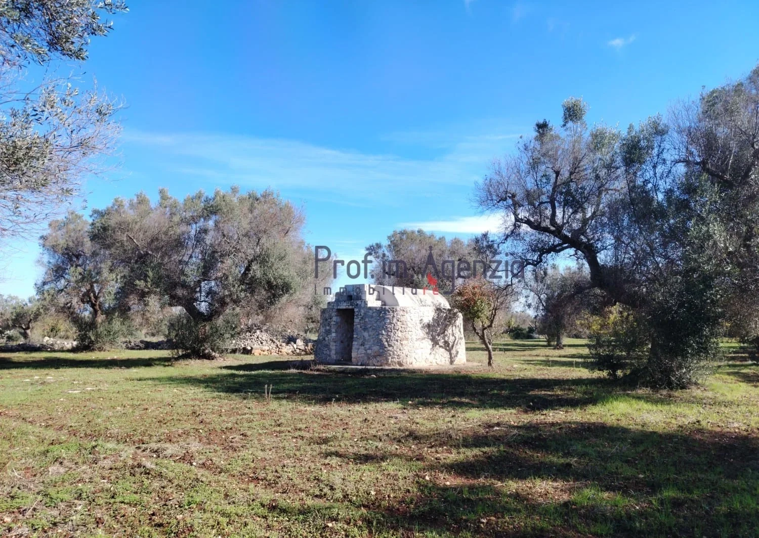 2 - vendita casa san vito dei normanni puglia italia