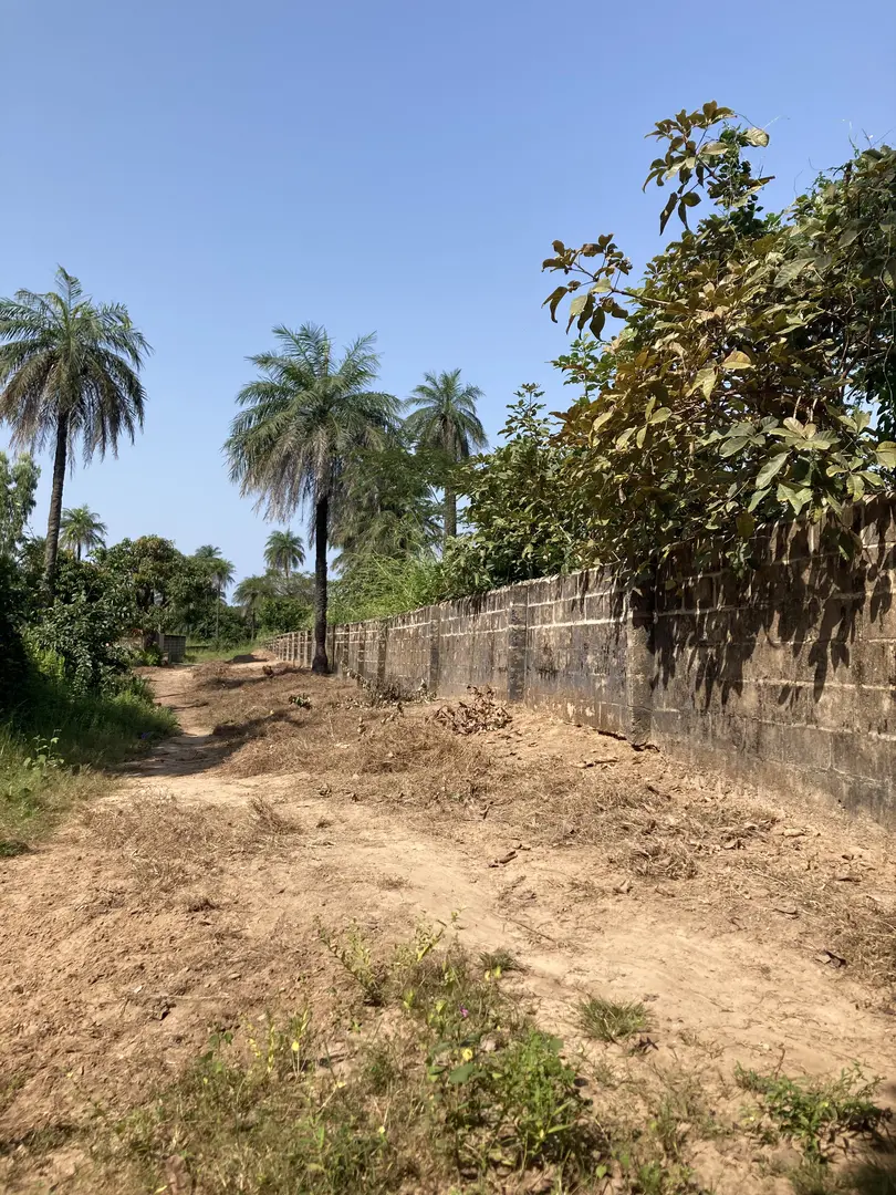 2 - продажа дом пляж пешком abene ziguinchor сенегал