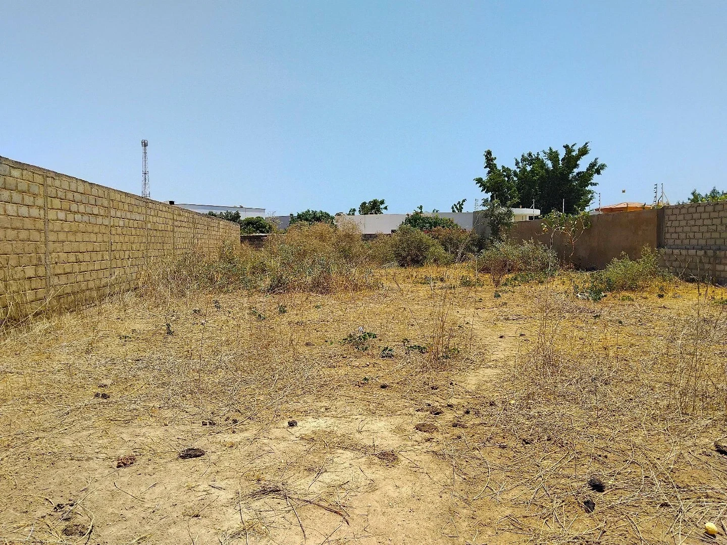 2 - vente terrain saly portudal thiès sénégal