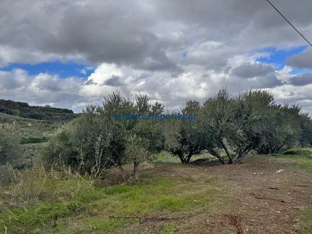 2 - venta terreno vista al mar platanias creta grecia
