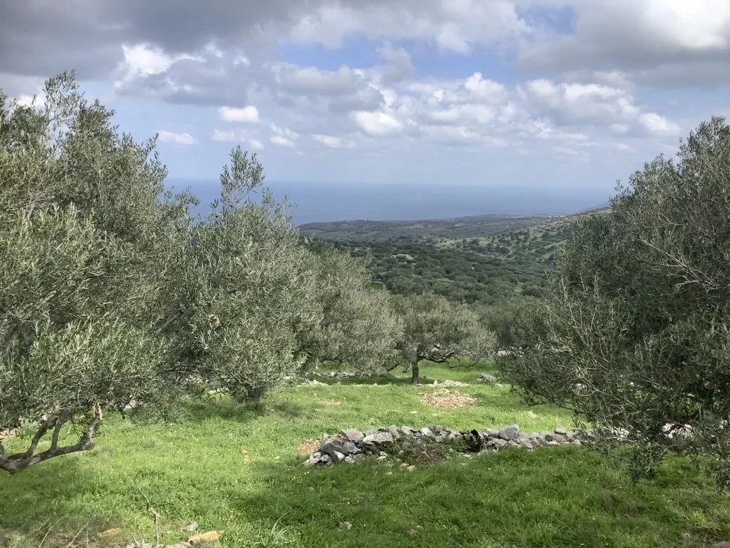 1 - vendita terreno vista mare agios nikolaos creta grecia