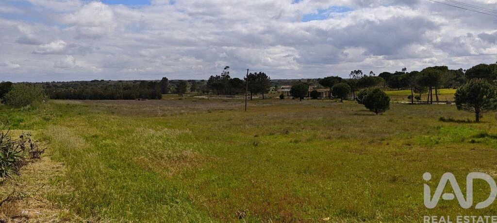 1 - plot of land for sale in branca centro region portugal