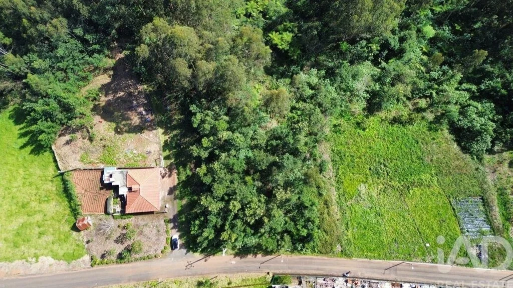 2 - продажа территория são jorge мадера португалия