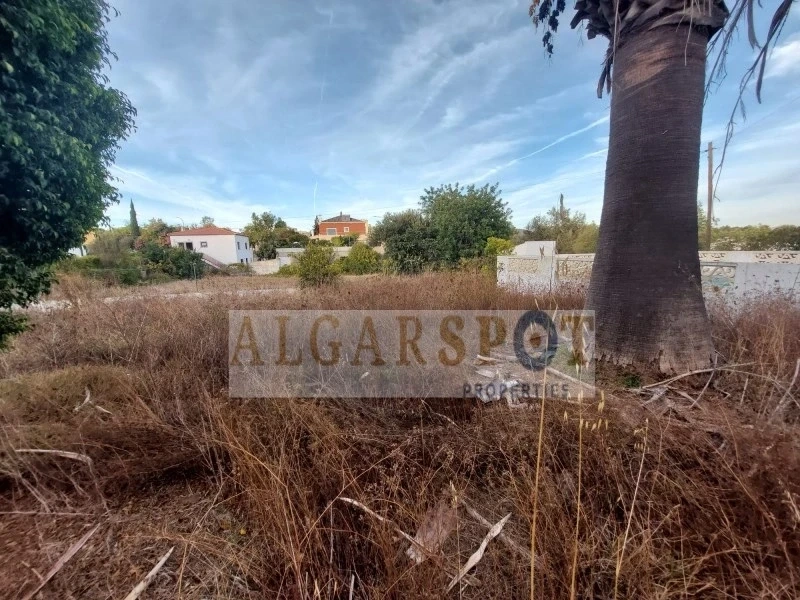 2 - vendita terreno almancil algarve portogallo