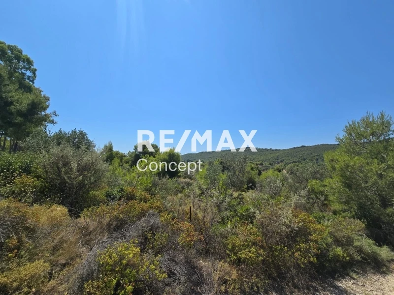 Terreno di 2 324 m²