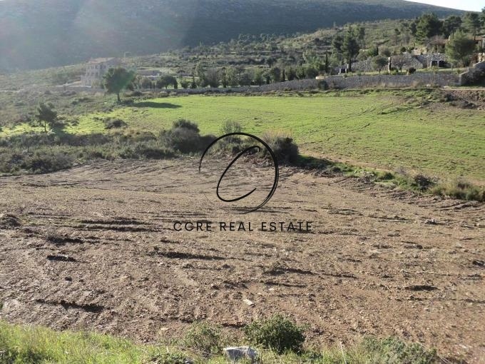 2 - vente terrain grammatiko attique grèce