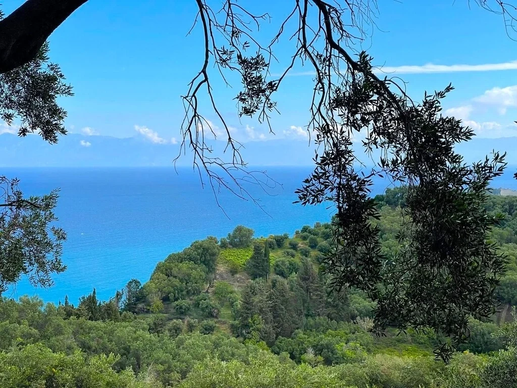 2 - vente terrain vue mer sidári îles ioniennes grèce