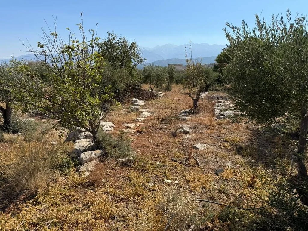 1 - vente terrain plage à pied megála choráfia crète grèce