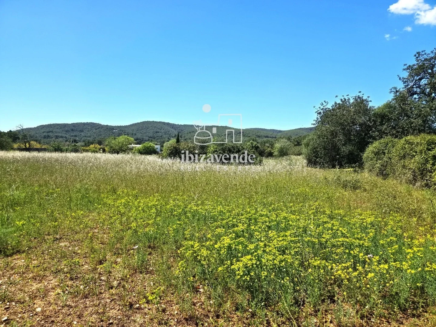 1 - vente propriété sant joan de labritja ibiza - baléares espagne