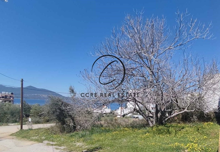 1 - vente terrain vue mer aidipsós grèce centrale grèce