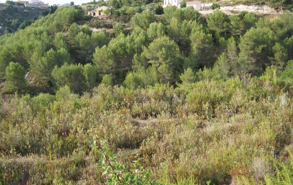 2 - verkauf grundstück benissa - costa blanca valencia spanien