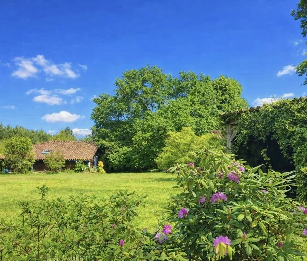 2 - venta propiedad saint-michel-escalus landas francia