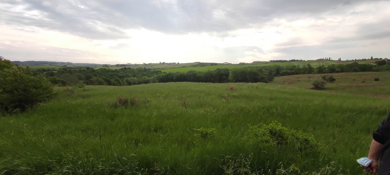 2 - plot of land for sale in pienza tuscany italy