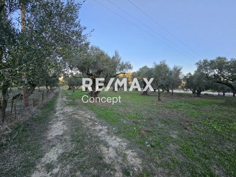 2 - venta terreno zante islas jónicas grecia