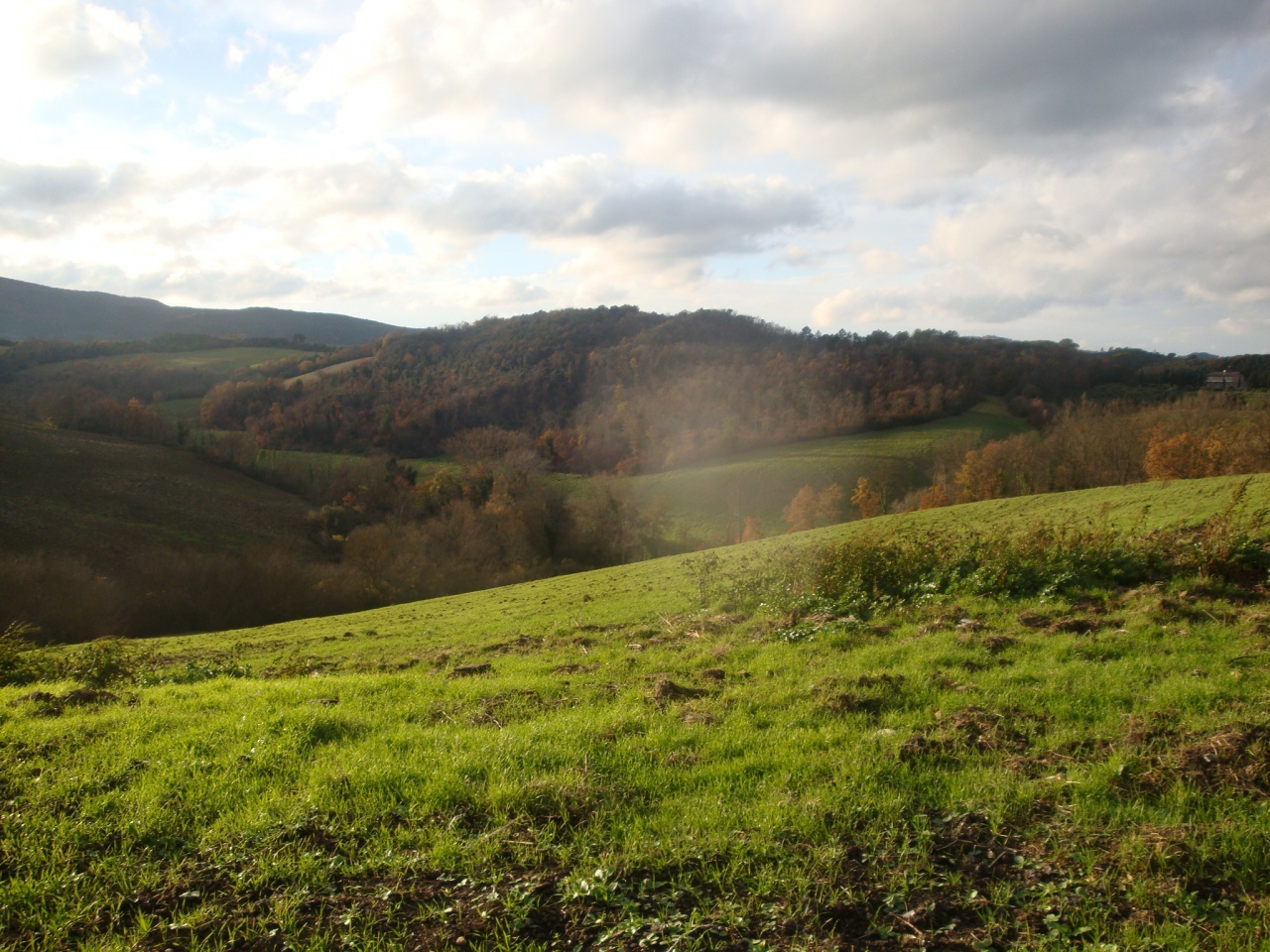 2 - vente terrain pomarance toscane italie