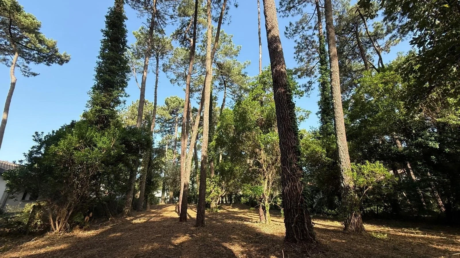 1 - plot of land for sale in hossegor landes france