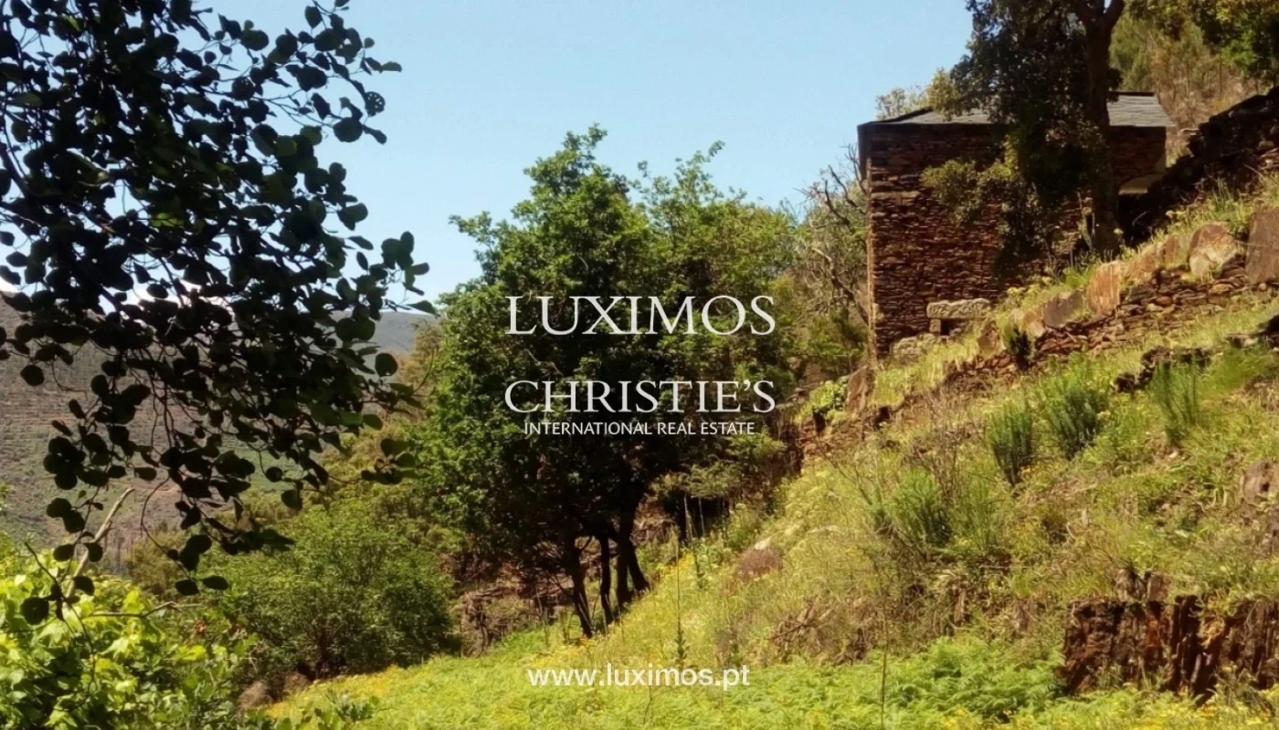 2 - estate for sale in arouca north region portugal