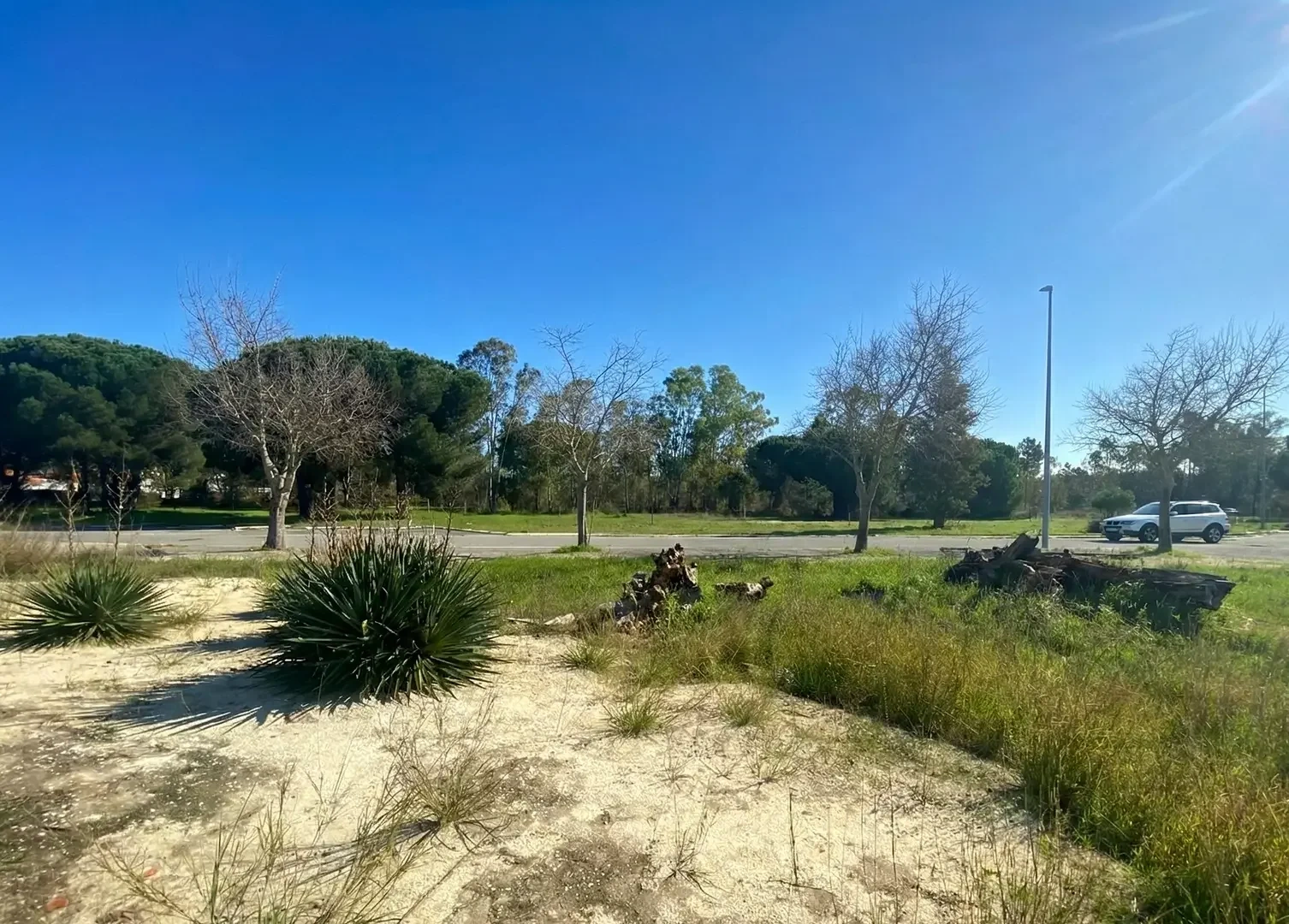 1 - verkauf grundstück comporta alentejo portugal