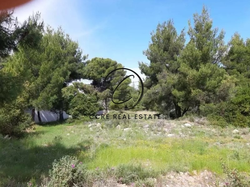 2 - plot of land for sale in chalandri attica greece