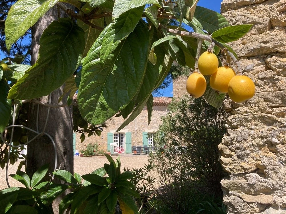 2 - house for sale in bagard gard france