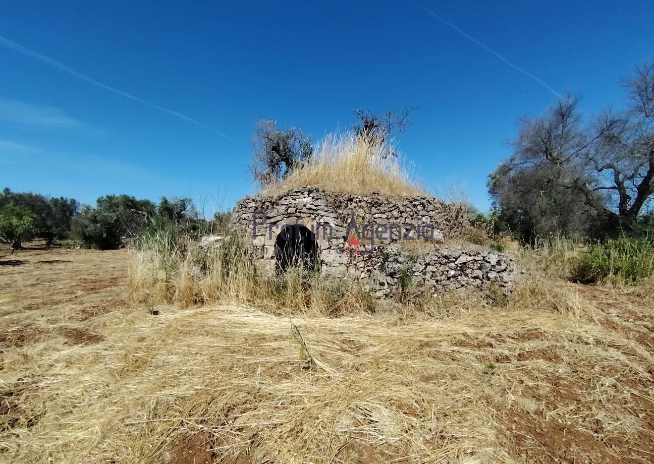 1 - venda casa carovigno apulia itália