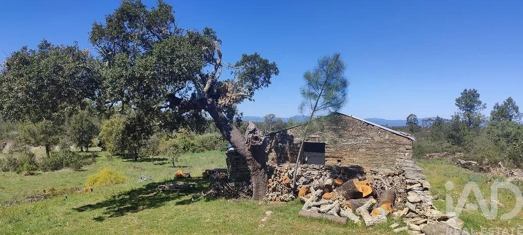 1 - venta propiedad castelo branco región centro portugal