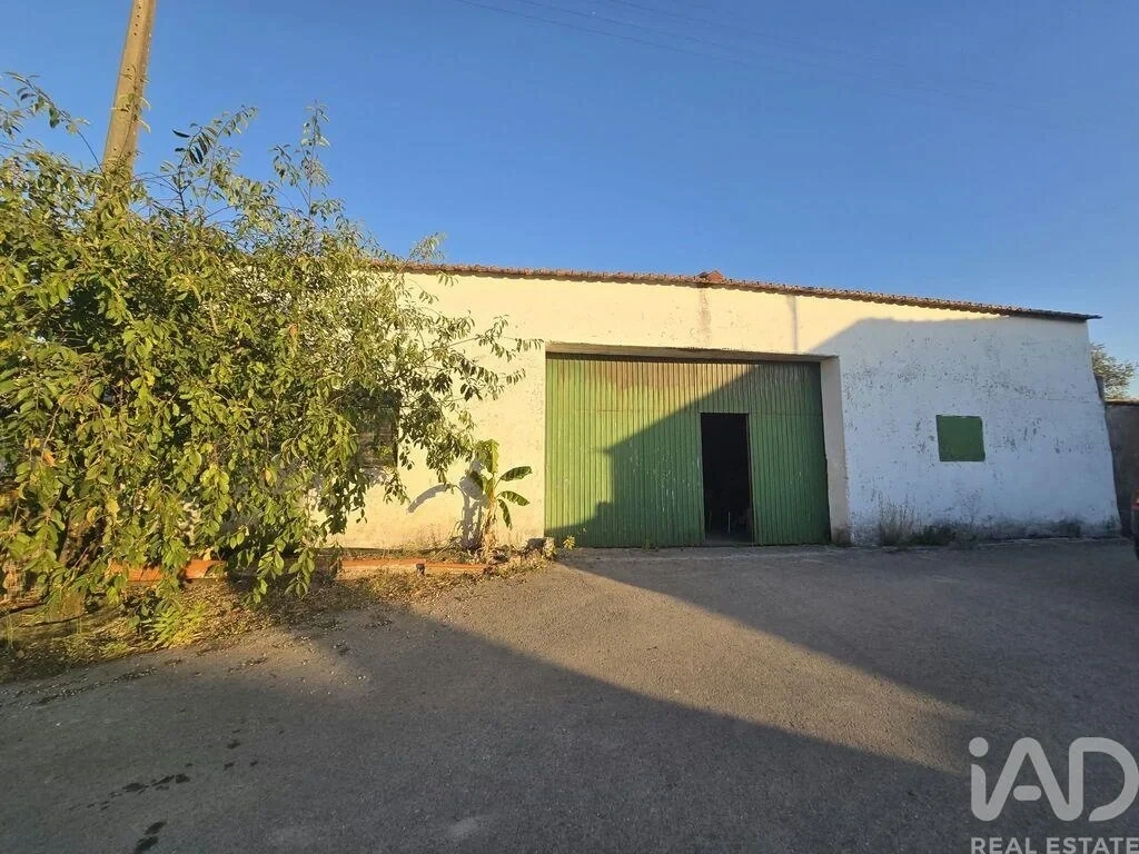 1 - villa for sale in alvorninha centro region portugal