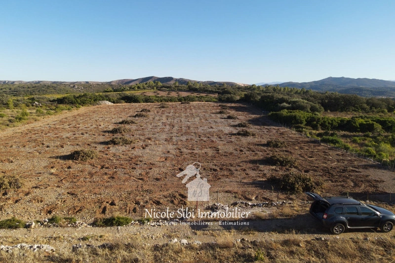 1 - venta terreno tautavel pirineos orientales francia