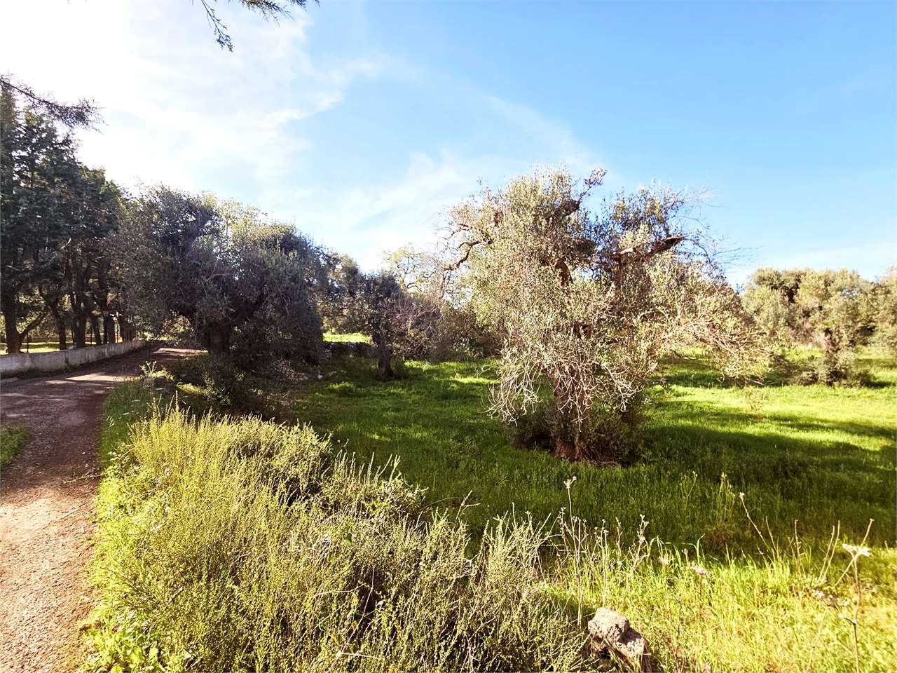 1 - verkoop terrein san vito dei normanni apulia italië