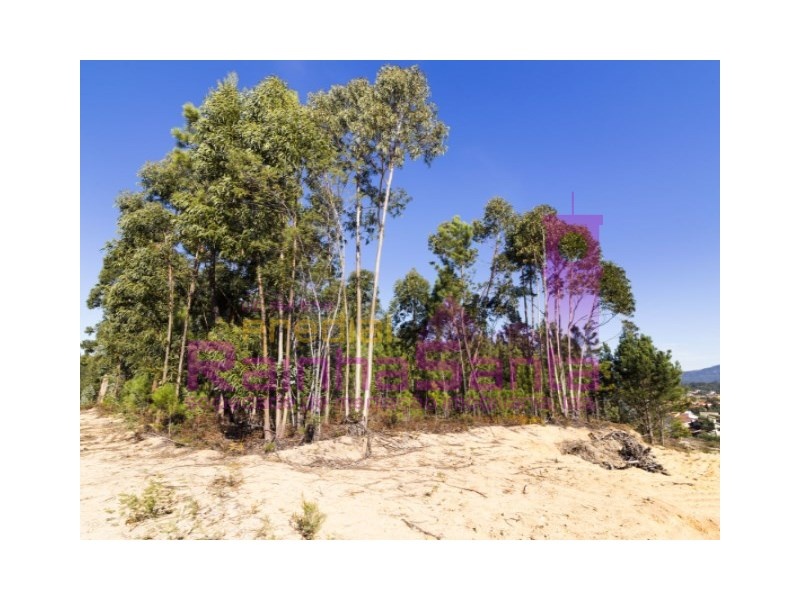 2 - venta terreno pampilhosa región centro portugal