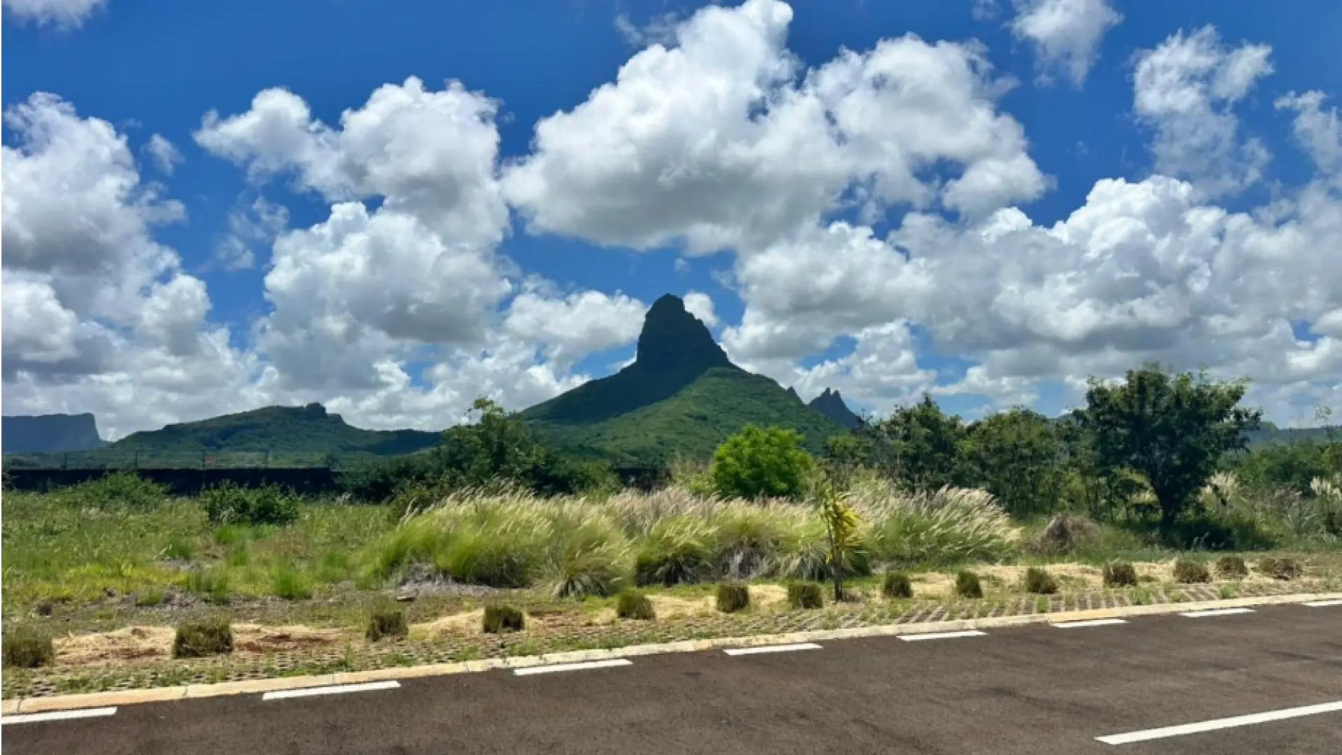 1 - plot of land for sale in tamarin rivière noire mauritius