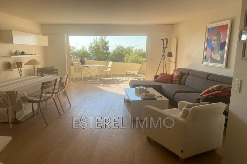 1 - apartment for vacation rentals in théoule-sur-mer alpes-maritimes france