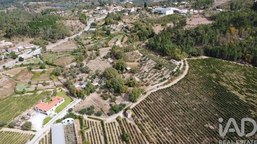 2 - plot of land for sale in germil north region portugal