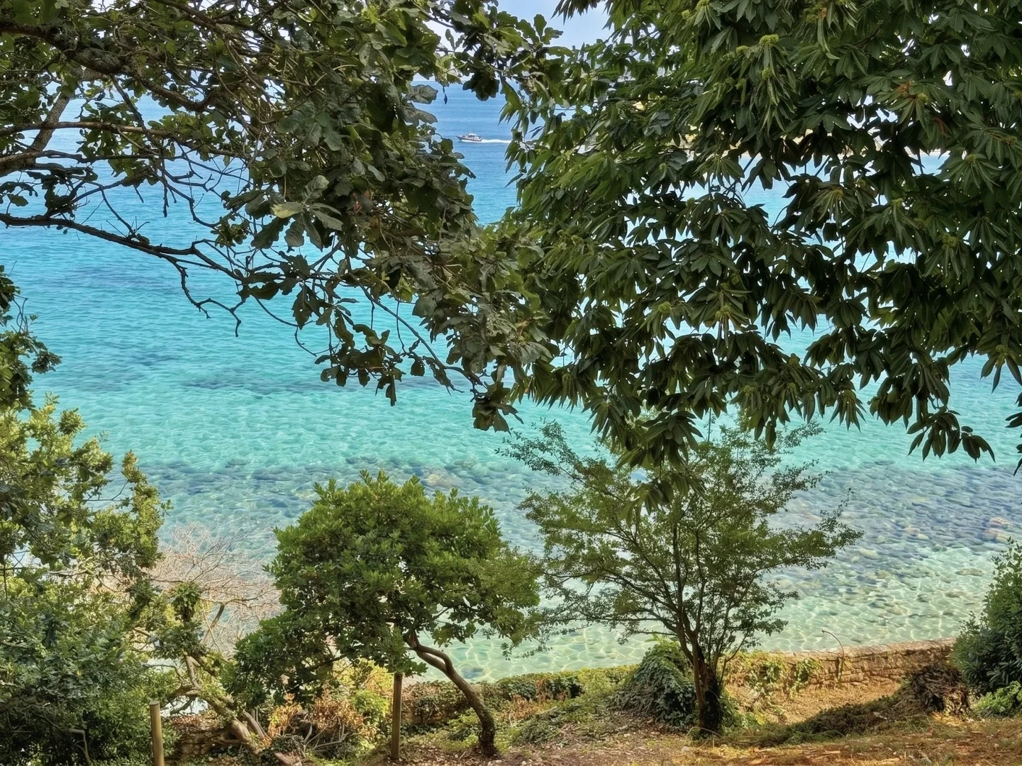 1 - vendita appartamento vista mare douarnenez finistère - bretagne francia