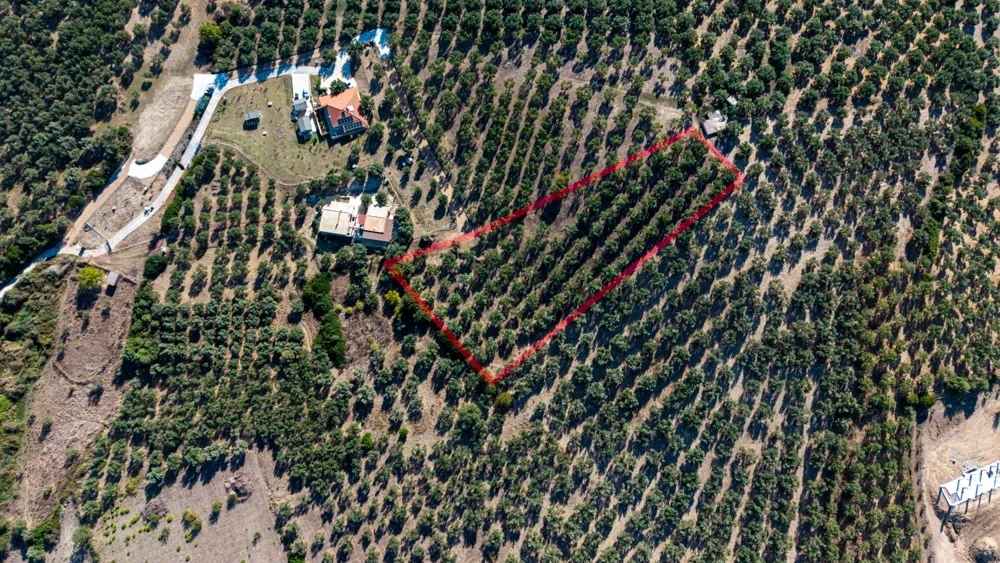 2 - venta terreno kyparissía peloponeso grecia