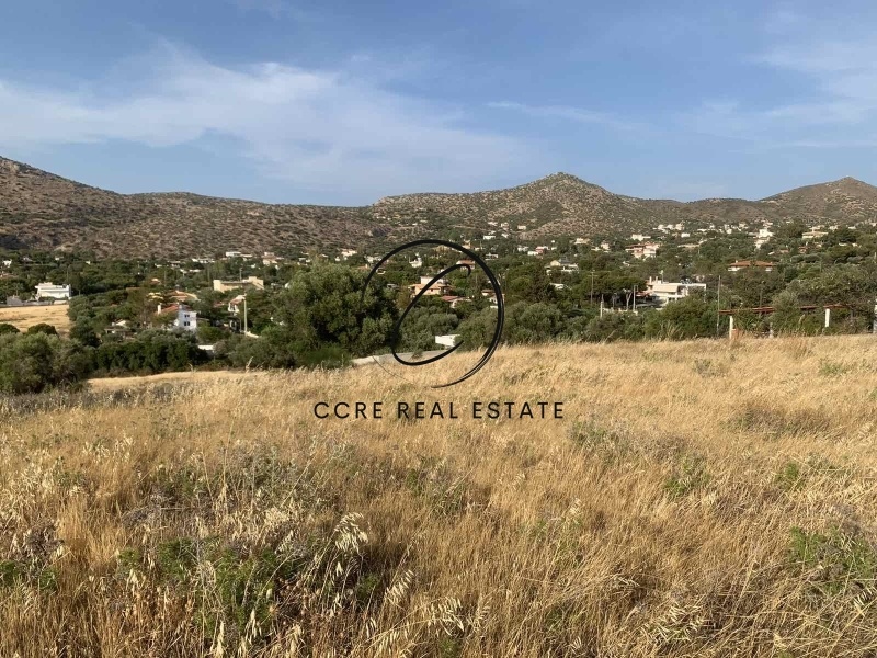 2 - vente terrain vue mer palaia fokaia attique grèce