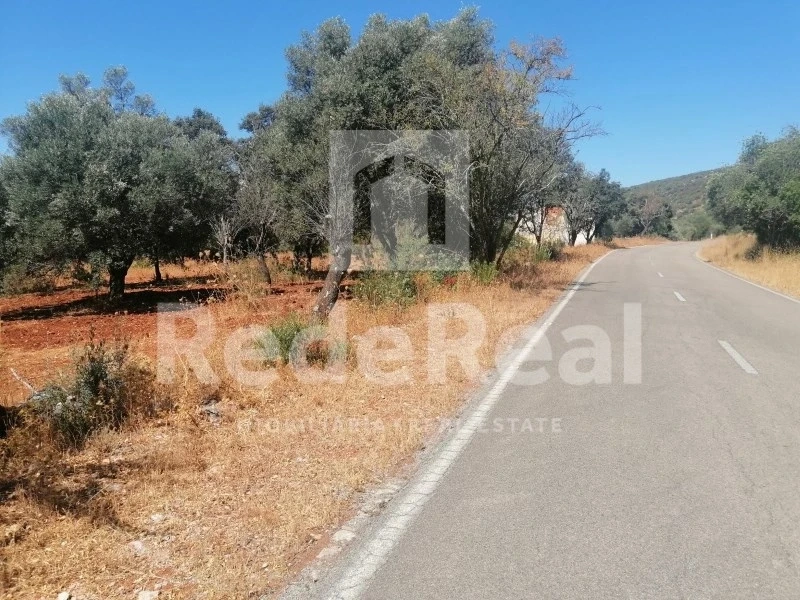 2 - vente terrain salir algarve portugal