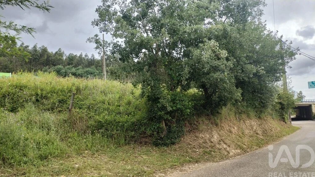 1 - plot of land for sale in coimbra centro region portugal