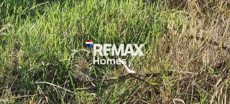 2 - vente terrain gerakas attique grèce