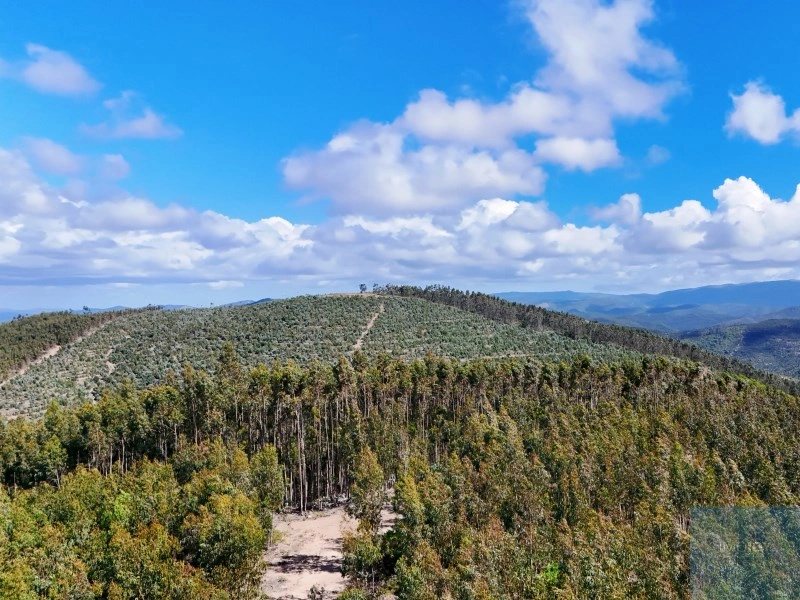 2 - venta terreno são teotónio alentejo portugal