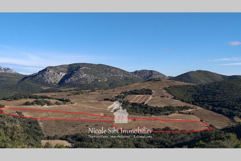2 - verkoop terrein rasiguères pyrénées-orientales frankrijk